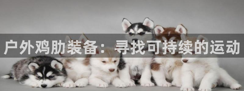 新宝gg总部