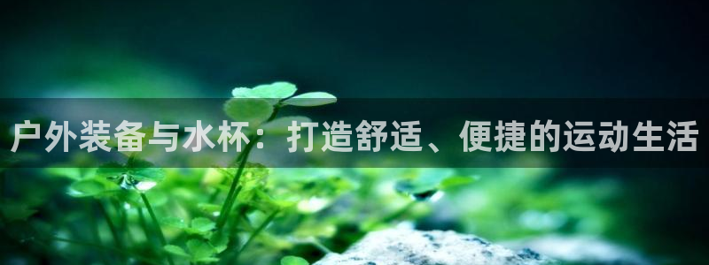 新宝GG挂机