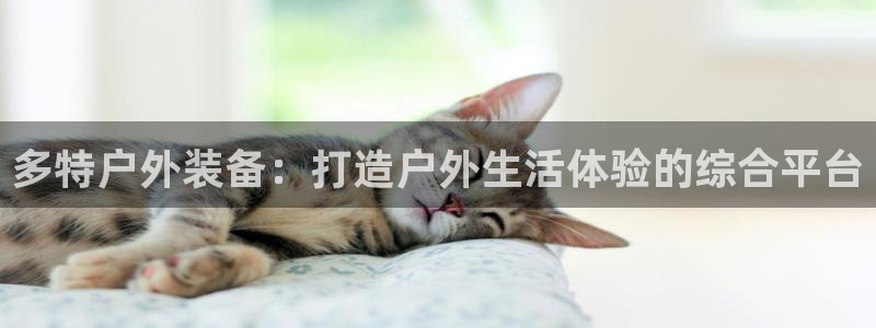 新宝gg打发