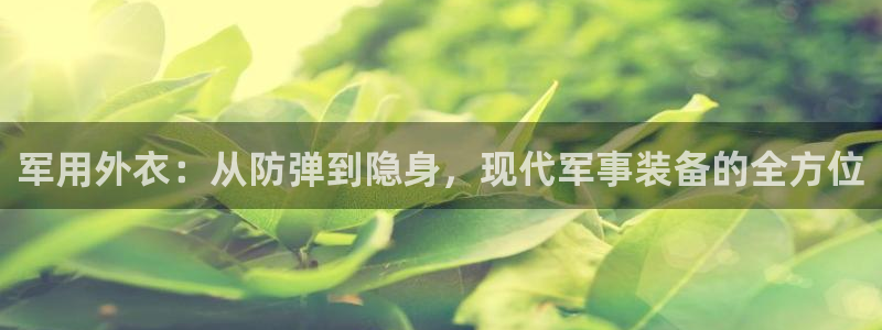 新宝 gg 总代理