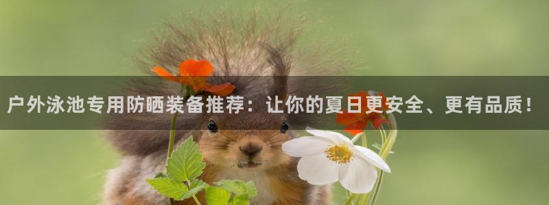 新宝gg登录线路测试