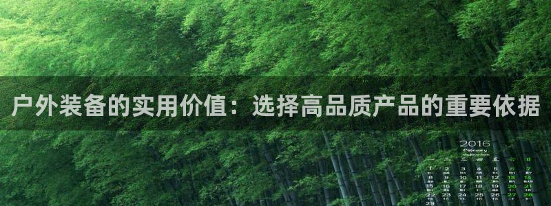新宝gg娱乐vovq