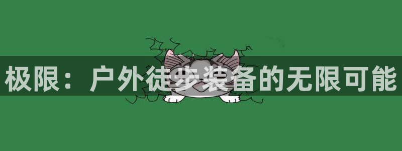 新宝GG类别78778