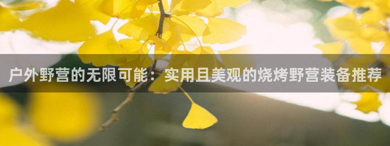 新宝gg--创