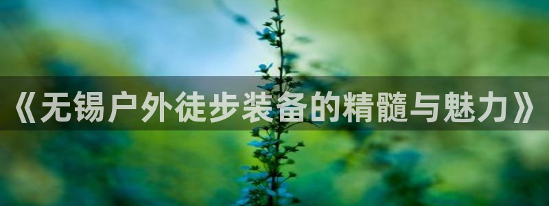 新宝GG链接