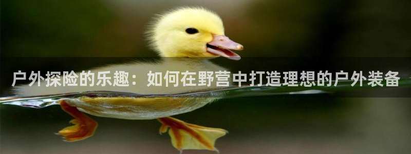 新宝创造Gg