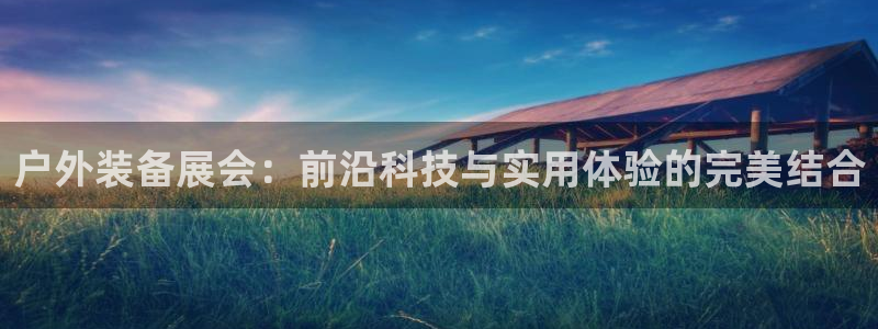 新宝gg什么