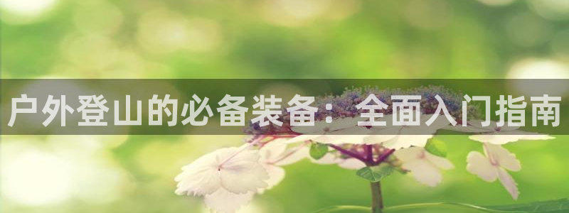 新宝gg娱乐