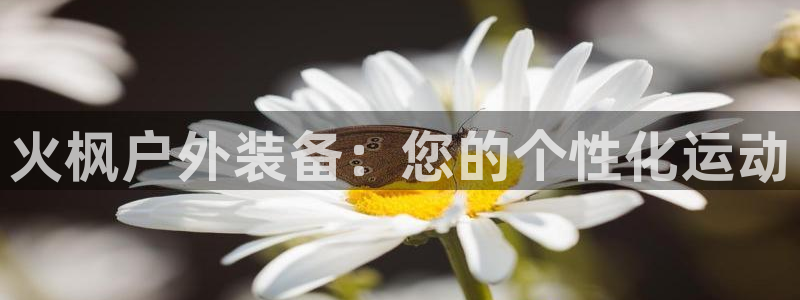 新宝gg平台