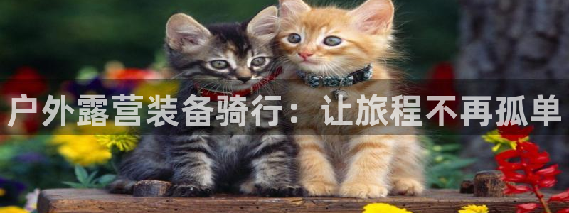 新宝gg什么