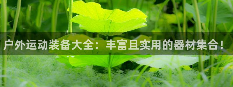 新宝gg分红