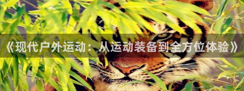新宝gg网址