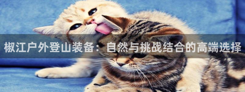 新宝.gg