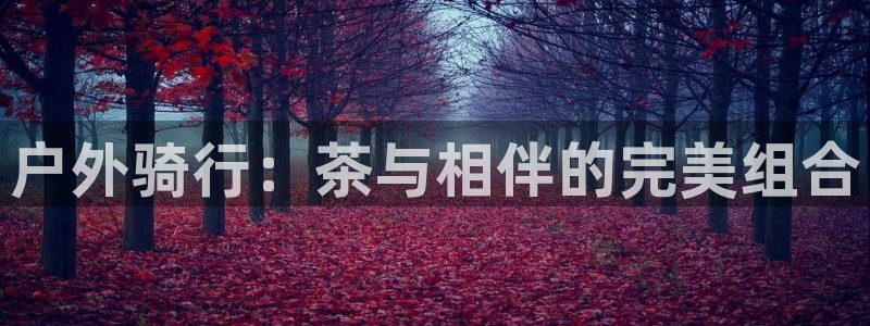 新宝gg平台开发