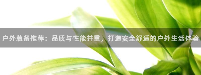 新宝 gg 登