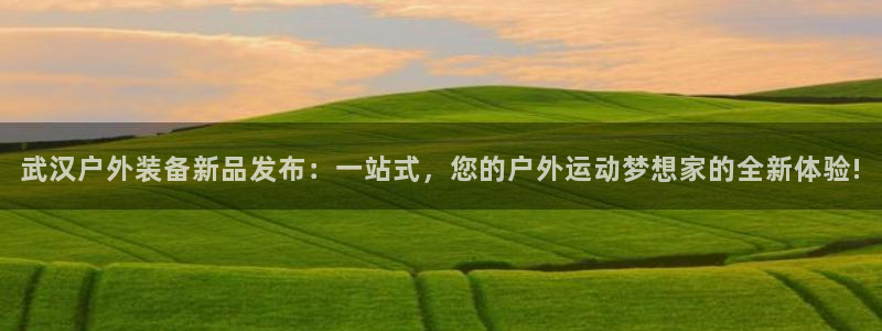 新宝gg官方主管