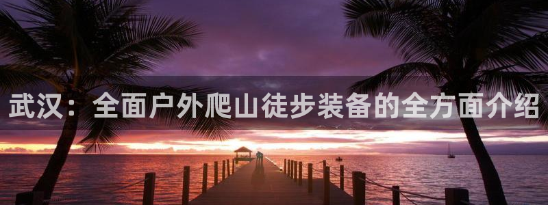 新宝gg挣钱
