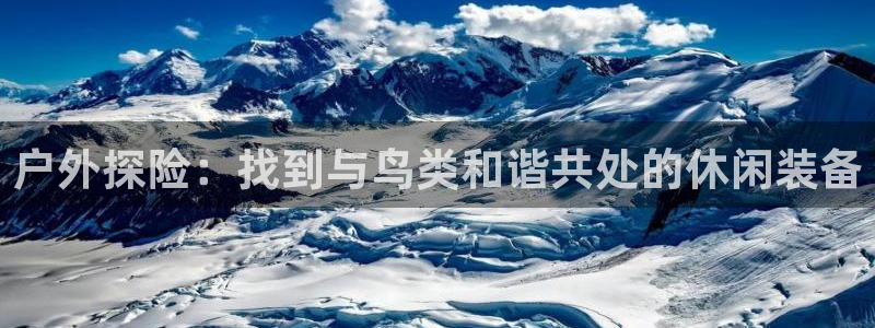 新宝gg如何注册登录