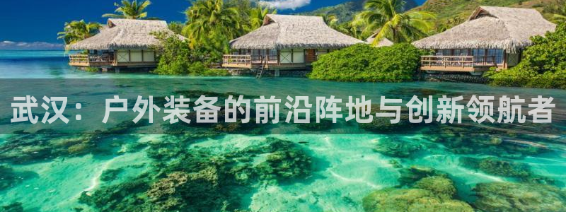 下载新宝gg