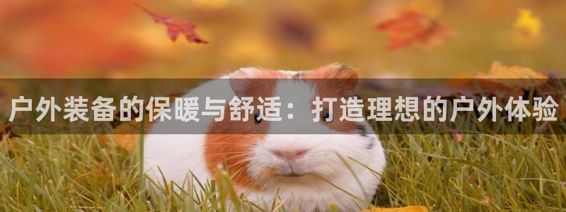 新宝gg平台反水