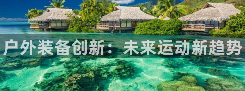 新宝gg官网