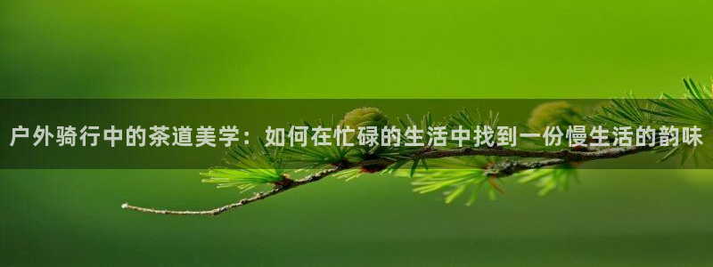 新宝gg网点