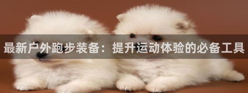 新宝一GG