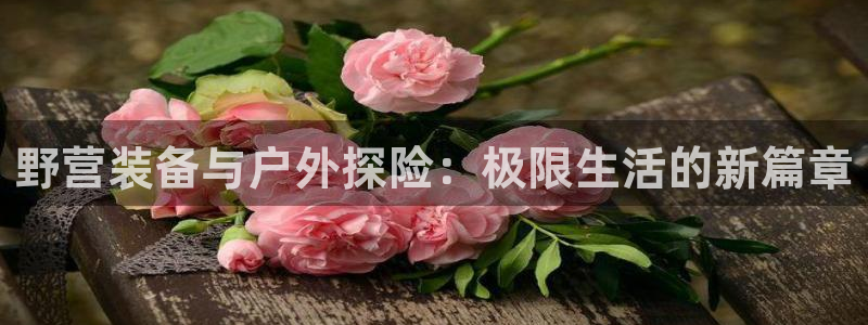 新宝gg平台gg登录gg网址