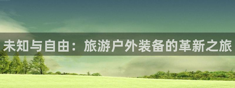 新宝gg画