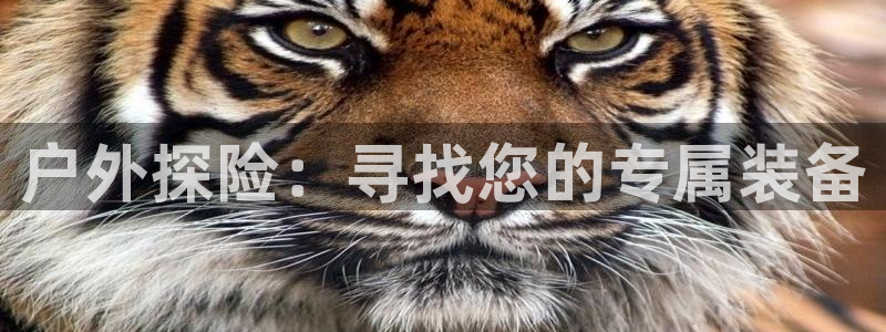 行新宝gg