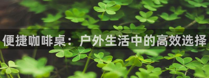 谁有新宝GG