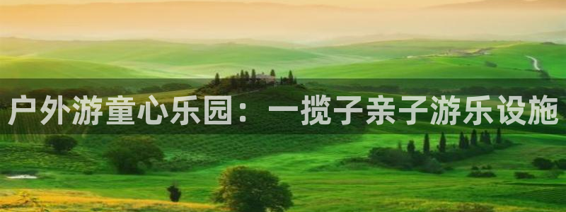 新宝gg平台登录