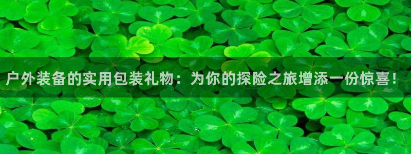 正版新宝gg