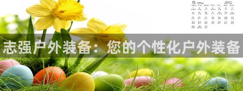 新宝 gg登录