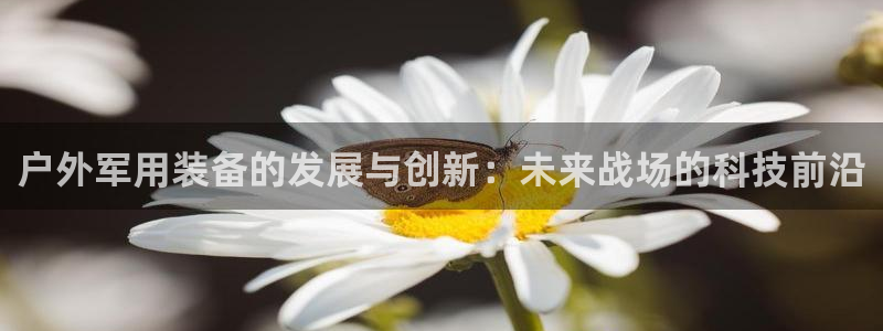 新宝gg平