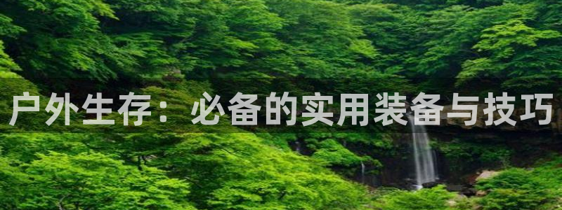 广东新宝电器gg