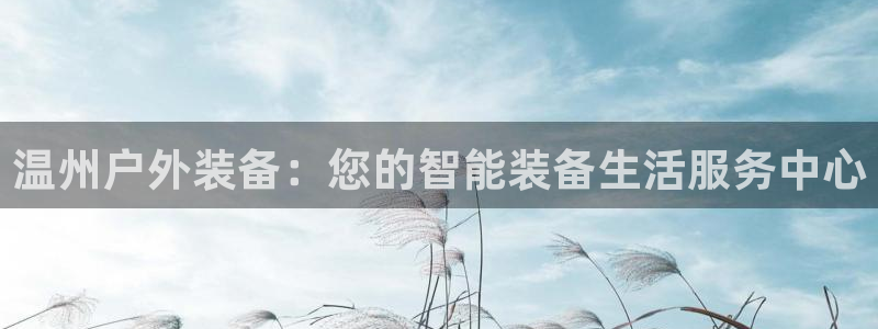 新宝哥gg