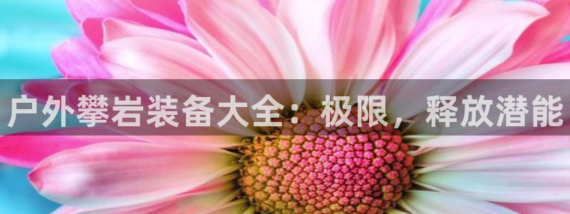 新宝gg主管 9