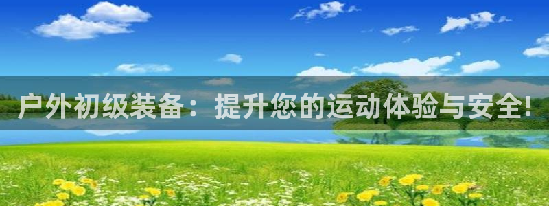 新宝gg真的能赚钱么