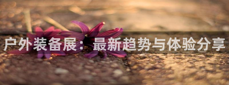 新宝gg手机登录