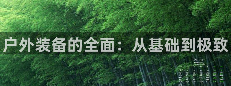 分分新宝gg