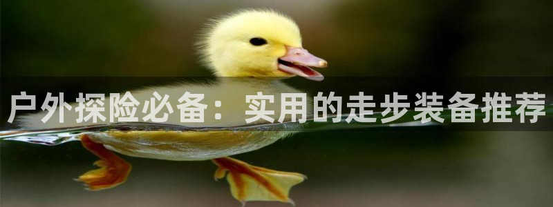 新宝gg娱乐上皇巢网