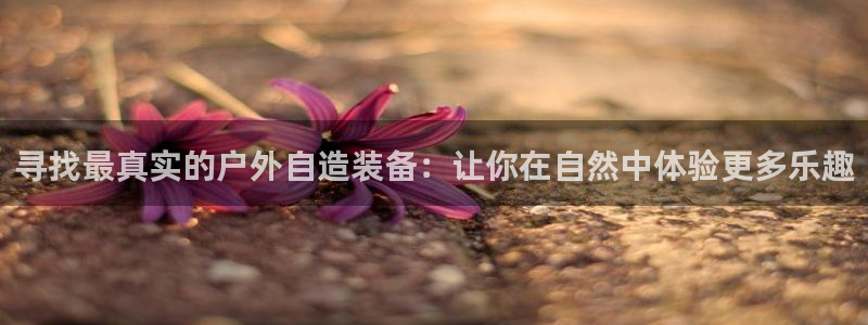 新宝 gg .com