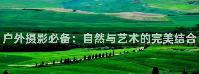 新宝gg官方注册找上级