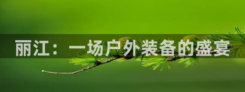 www.新宝gg