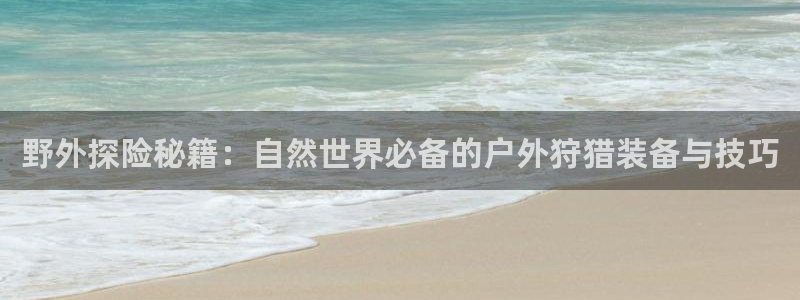 新宝gg漏洞