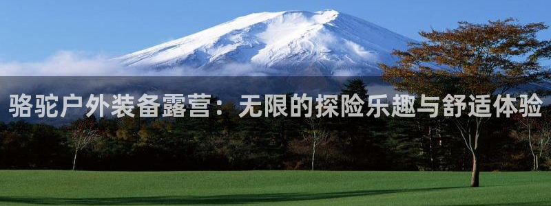 新宝GG创业奇迹