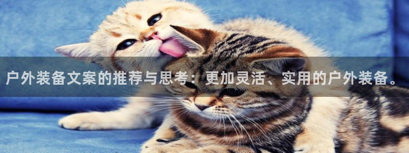 新宝GG 黑钱