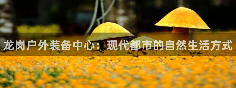 新宝集团gg
