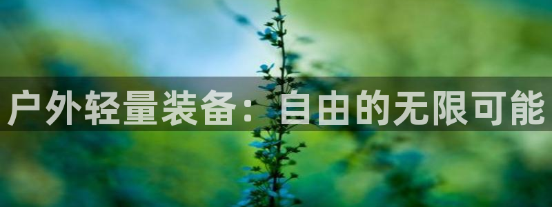 新宝gg金砖彩票